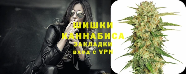 прущие грибы Михайлов