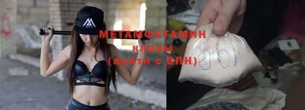 прущие грибы Михайлов