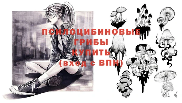 эйфоретик Абаза