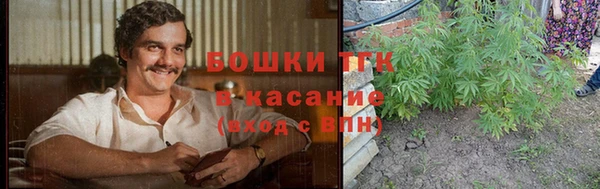 PSILOCYBIN Абдулино