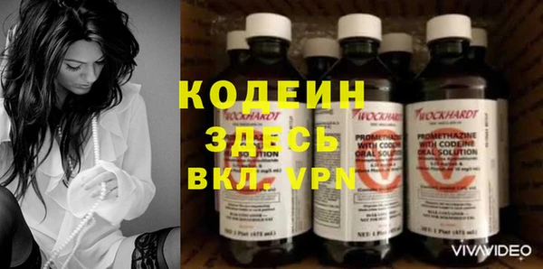 прущие грибы Михайлов