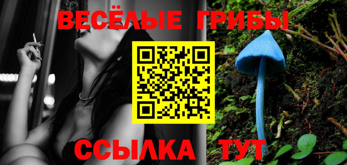 Североморск  Галлюциногенные грибы мухоморы  Вход с VPN 