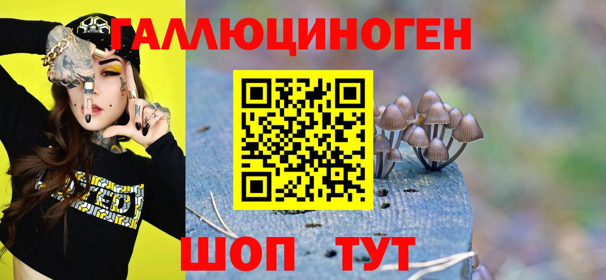 Галлюциногенные грибы GOLDEN TEACHER Североморск