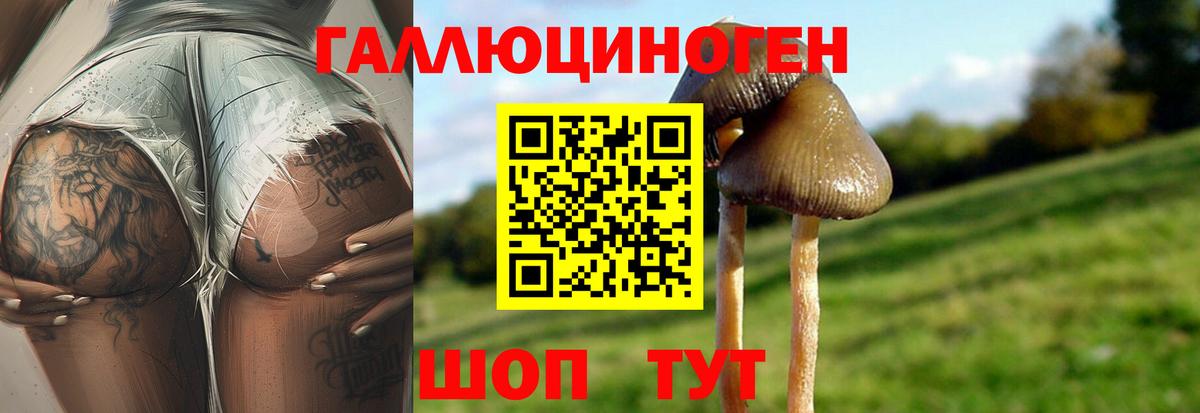 МДМА Североморск
